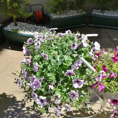 酒店 马尔马里斯城市酒店 马尔马里斯