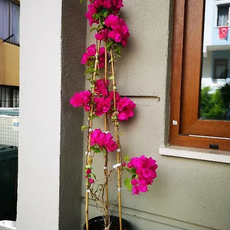 马尔马里斯城市酒店 3* 马尔马里斯