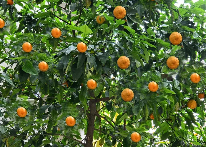 Szálloda City Hotel Marmaris 3*