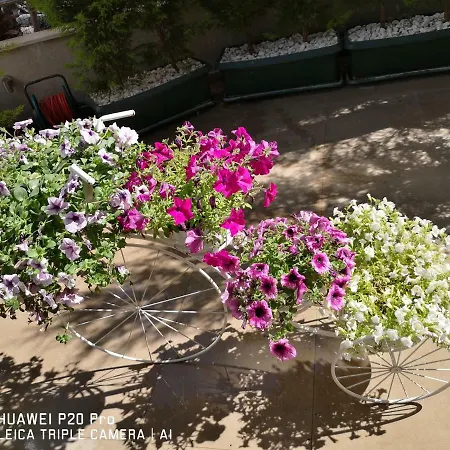 Hotel City Hotel Marmaris Marmaris