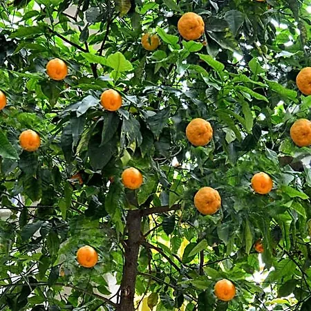 City Hotel Marmaris 3* 말마리스