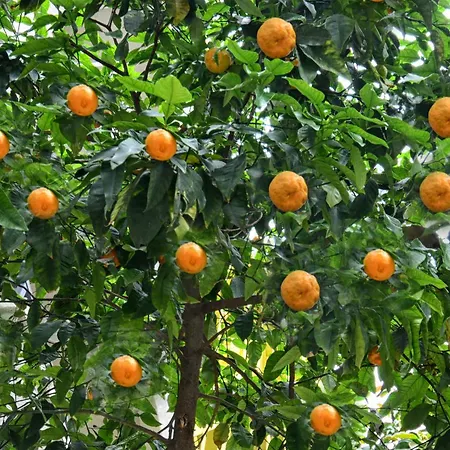 فندق سيتي مارماريس 3*