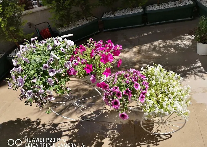 Hotel City Hotel Marmaris Marmaris