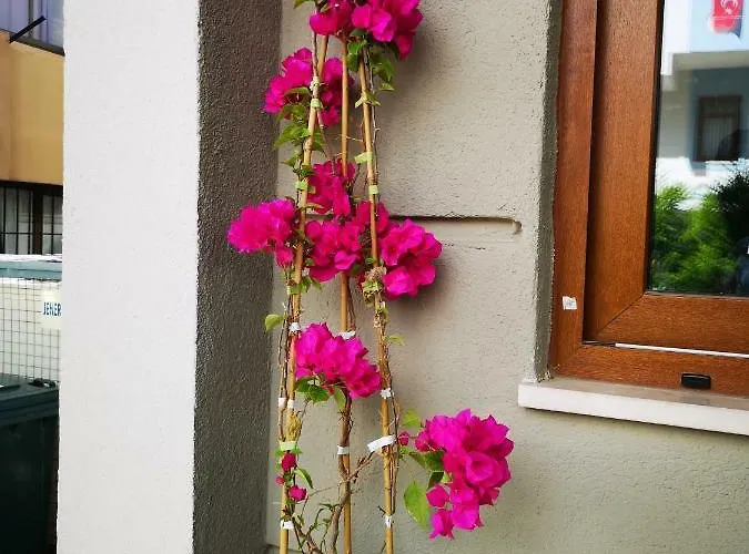 City Hotel Marmaris 3* Marmaris